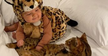 Охраняет сон, играет и целует: дружба 11-месячного малыша с бенгальским котом умилила Сеть