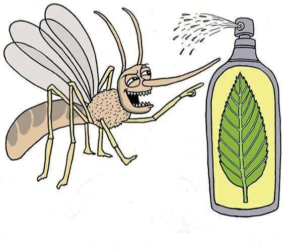 Ванилин от комаров действительно помогает?