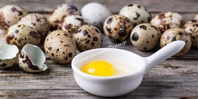 ♻️перепелиные яйца- 25 полезных