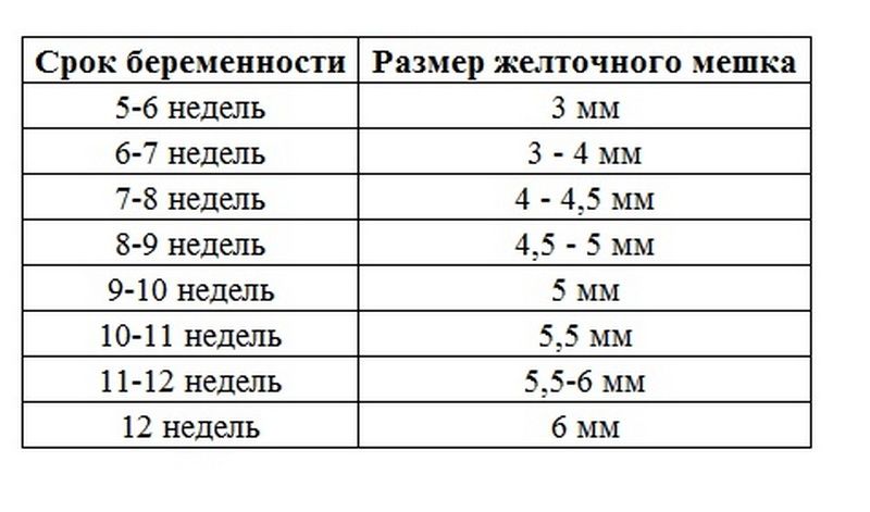 увеличенный желточный мешочек, какие размеры в 1ом триместре по УЗИ у вас