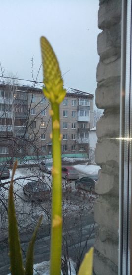 Девочки, хочу поделиться радостью