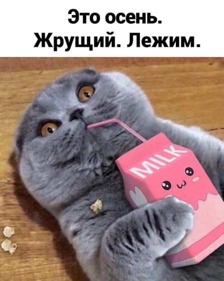Фотография 2020-10-19 17:16:20