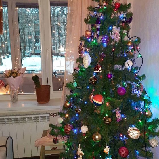 Ну дома, так дома...