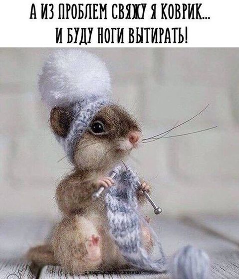 Совет дня )