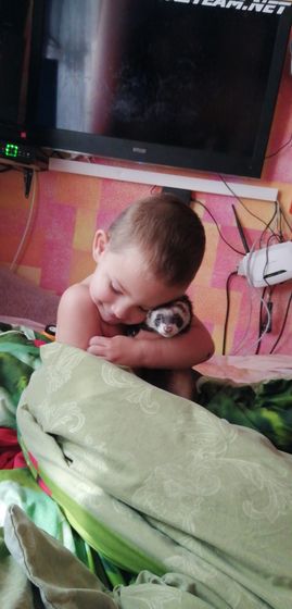 Сколько же терпения у