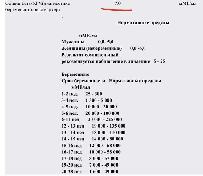 ХГЧ 7