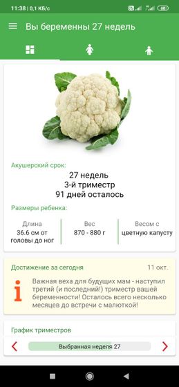 27 недель. Наступил третий триместр беременности! 🥳