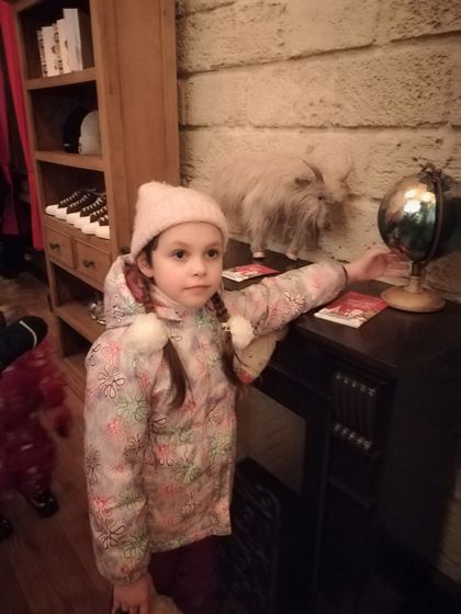 Фестиваль 