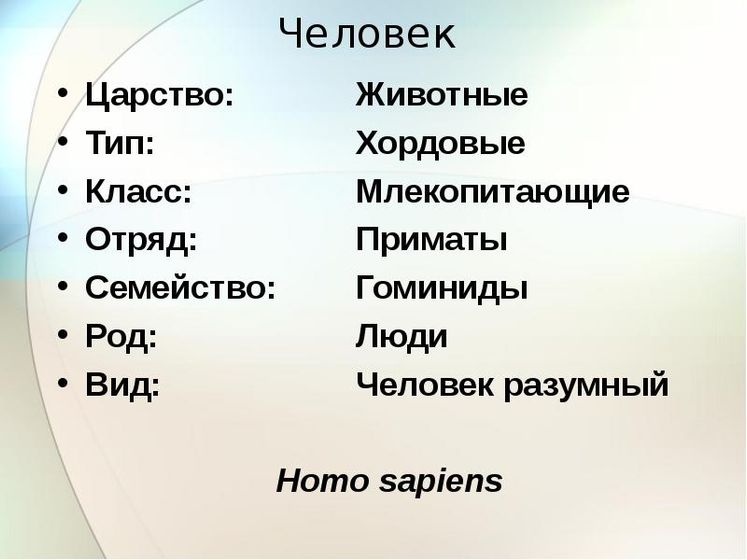 Порой в такие моменты