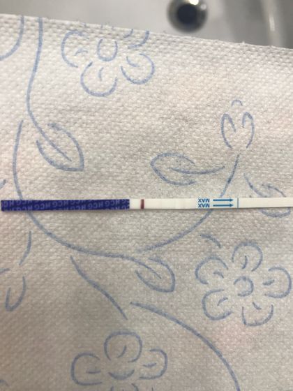 Полоска на тесте при хгч 18,8 mlU/ml
