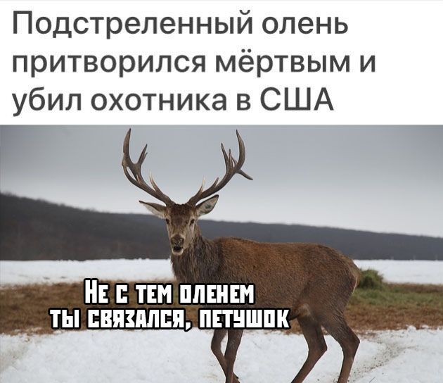 Аххах 😂😂😂😂