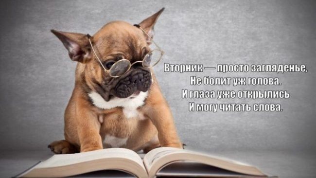 Поздравляю - вечер вторника! Поднимаем настроение ;)
