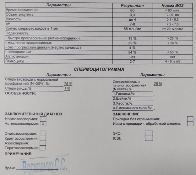 Сдал муж СГ