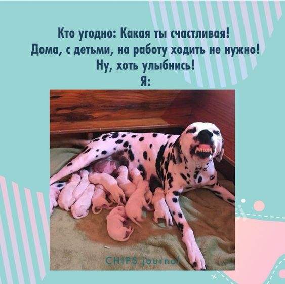 На злобу дня 😂