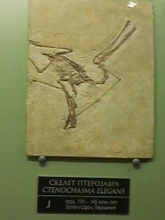 Про выходной и динозавров.