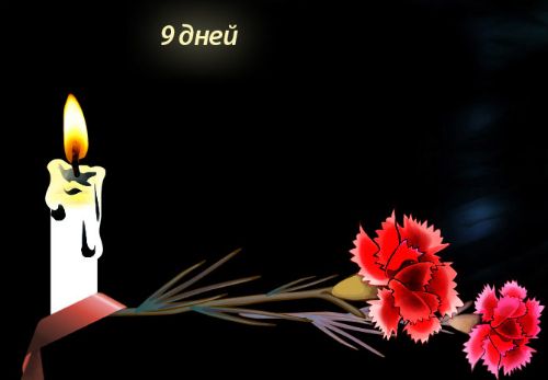 9 дней