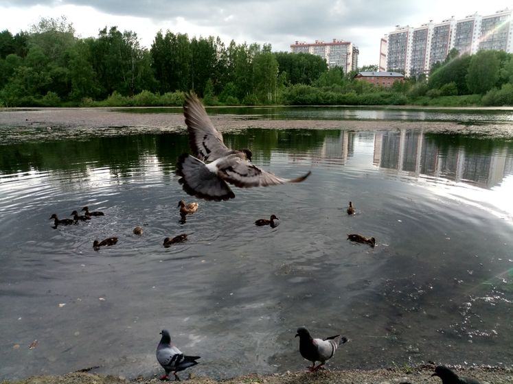 Наши прогулки, поделки и рецепт печенюшек:)
