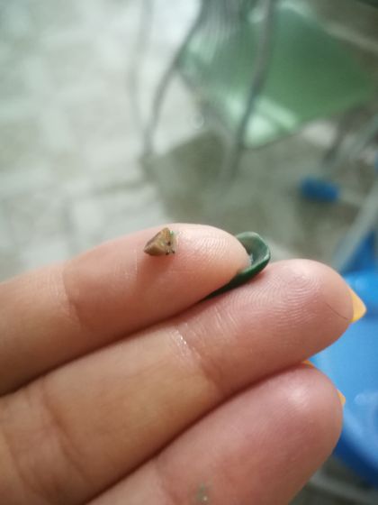 У сына из раны