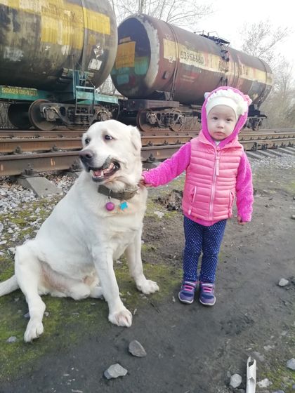 Здравствуй, здравствуй детский сад 😊