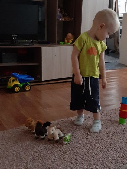 Игрушки