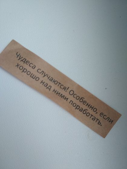 Фестиваль 