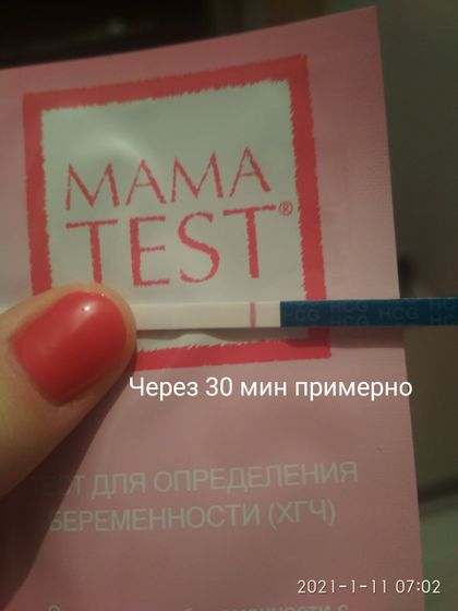 9дпо