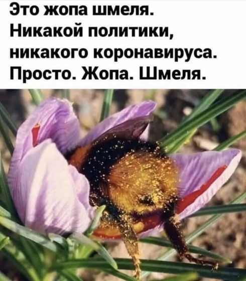 Фотография 2020-04-06 23:42:59