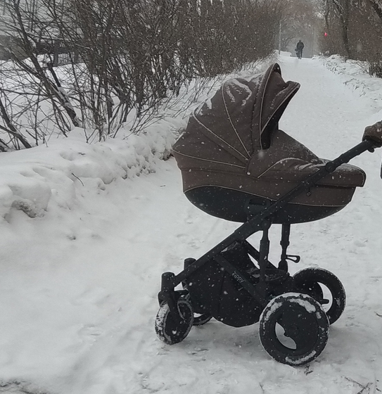 Коляска Tutis Zippy Pia 3 в 1