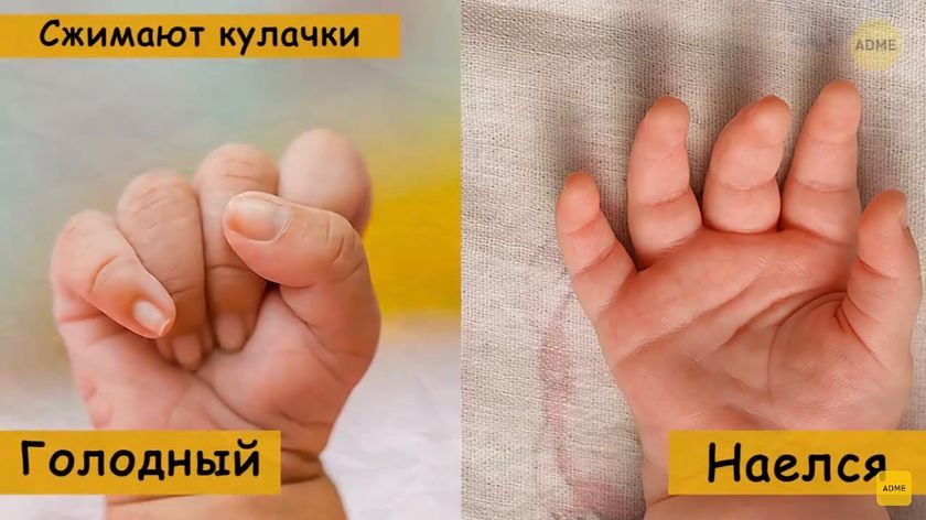Как понять наелся младенец или голодный
