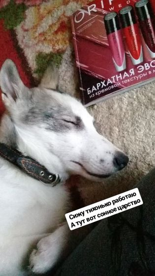 Чак чак