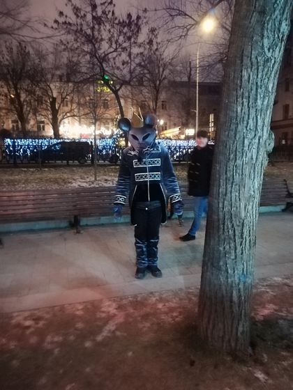 Фестиваль 