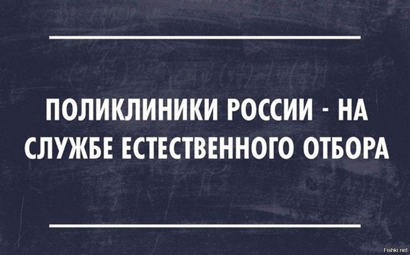 Палатная история