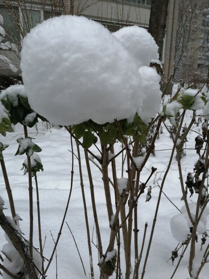 ❄️❄️❄️Люблю снежную погоду ❄️❄️❄️
