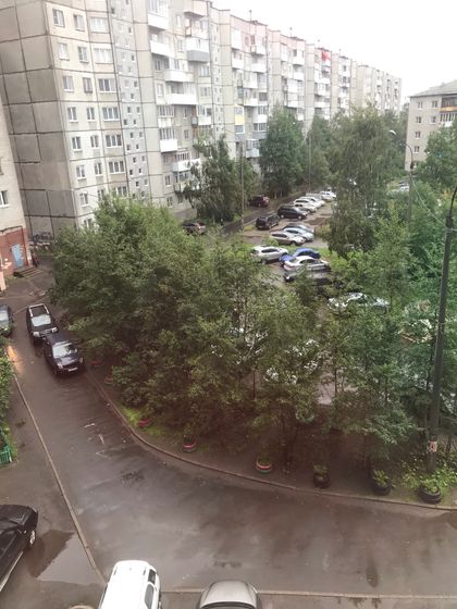Мерзкая погодка