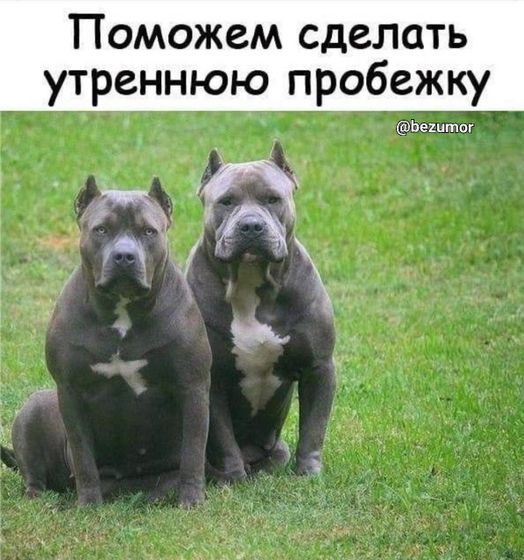 А что вам мешает начать бегать?