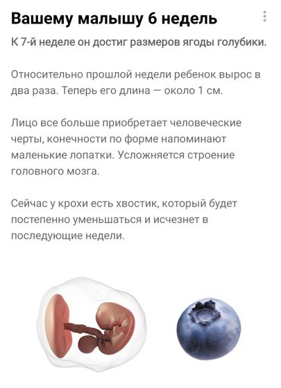 6 неделек позади ?
