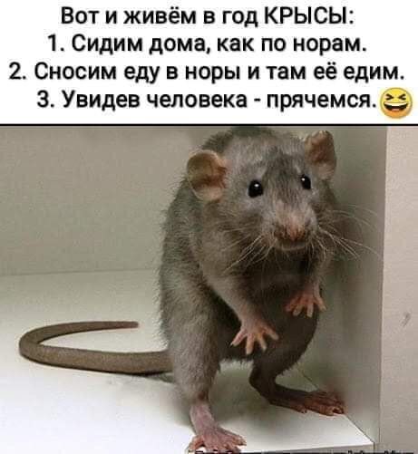 Карантиновый юмор🤪🤣