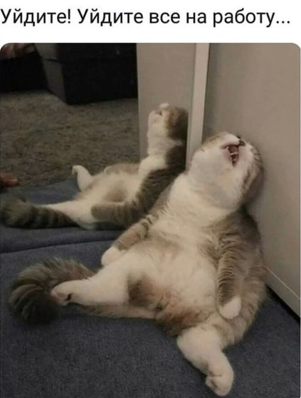 Не много юмора про кошек