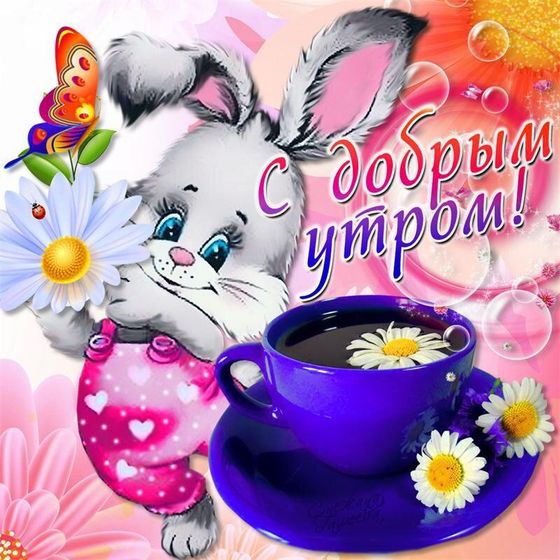 Доброе утро 💋💋💋.