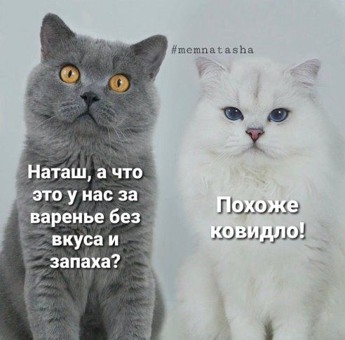 Впервые сварила новогоднее мандариновое