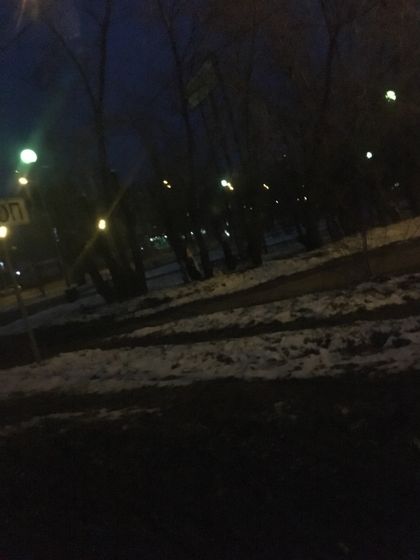 Выпала из сетей