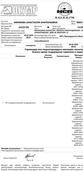 Анализ Хгч🤰 20.02