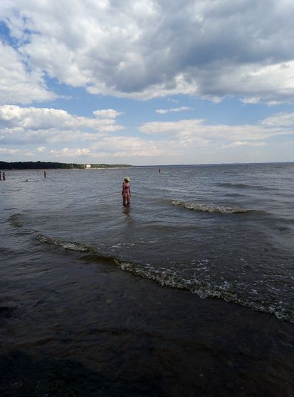 Когда была жара?.. Немного не дачных хроник ⛱️