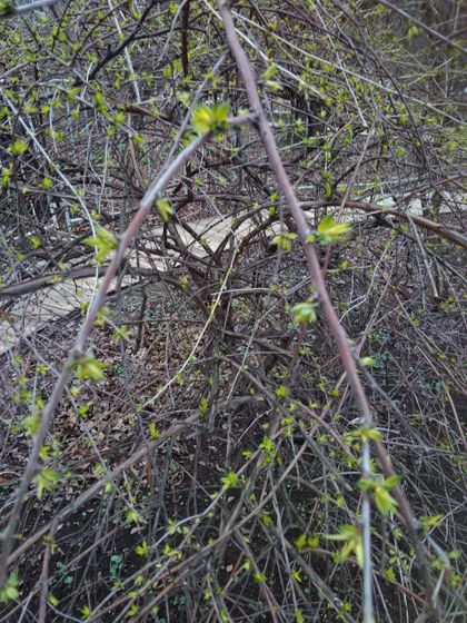 Наше 8 марта. (08.03.2020) Ч. 4.