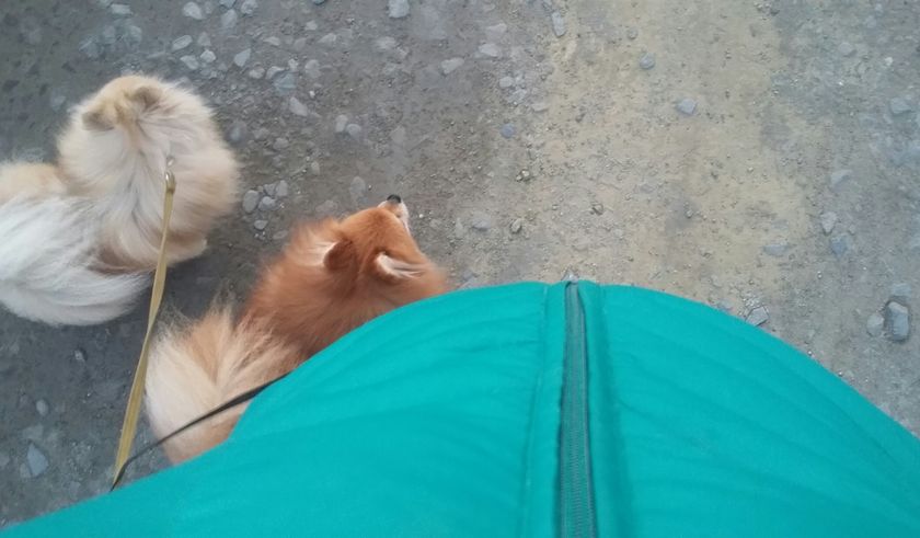 Выбор роддома и врача