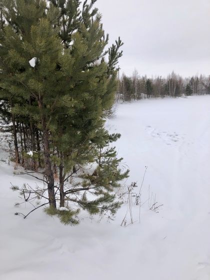 На свежем воздухе!!!