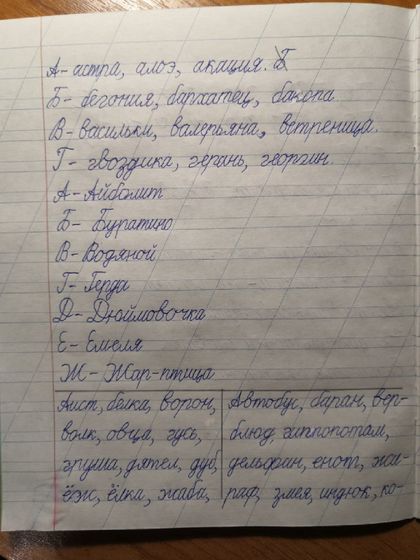 Дистанционное обучение первоклассника