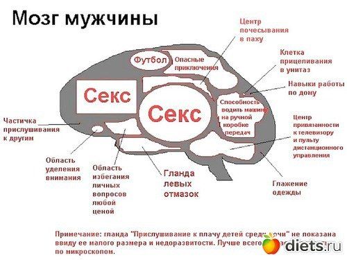 Пятница! Мужики и козлы. ТОП-9 фото посмеяться!
