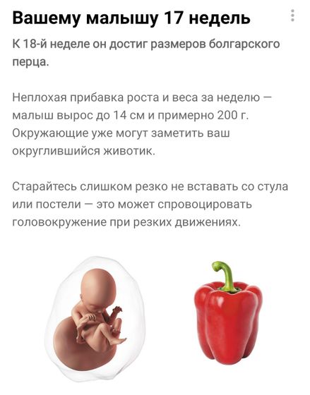 Праздничные 17 ❤