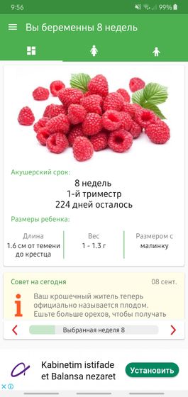 Моим зайкам 8 недель?